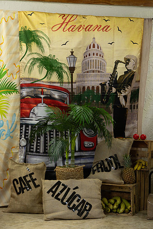 BMP-5