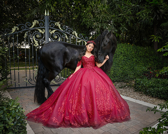 BMP-135