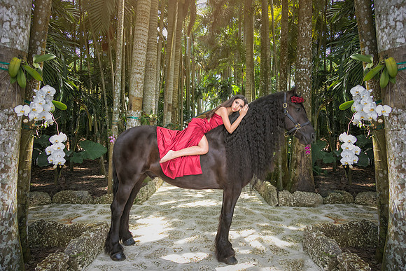 AmandaZenfolio-10